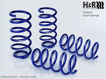 Amazon.com: H&R 29061-2 Lowering Springs : Automotive